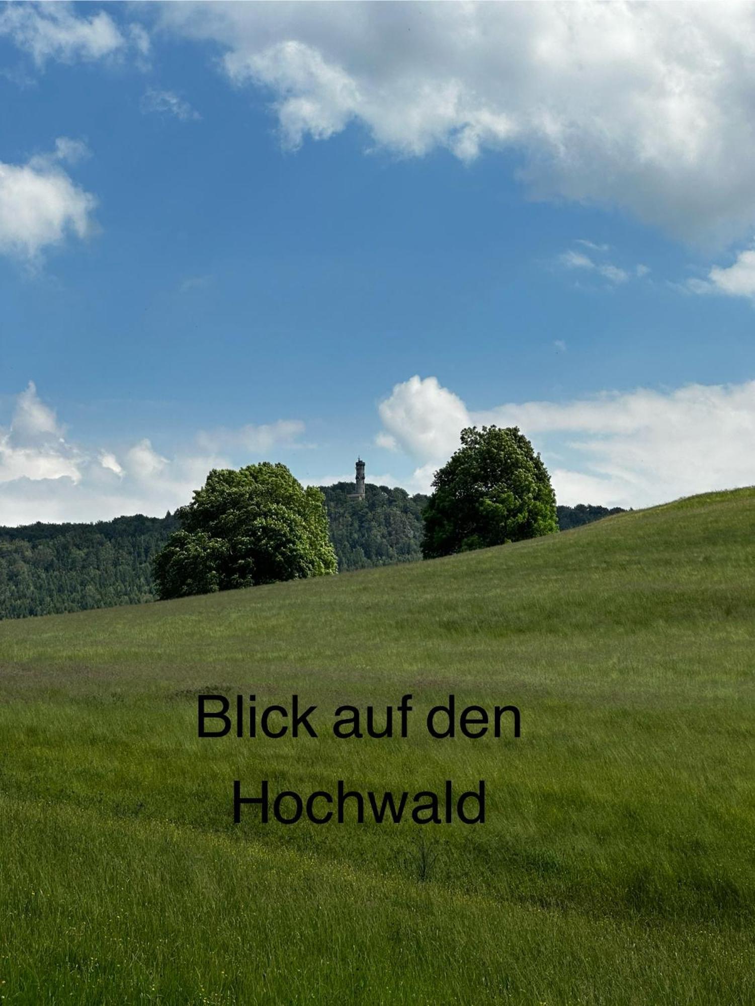 Blockhaeusl Am Jonsberg Ferienhaus Kurort Jonsdorf
